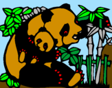Disegno Mamma panda  pitturato su Davide