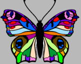 Disegno Farfalla pitturato su la farfalla colorata