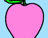 Disegno mela  pitturato su carlotta