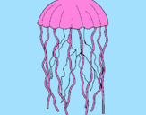 Disegno Medusa  pitturato su FABIOLA