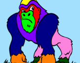 Disegno Gorilla pitturato su tommy c 