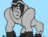 Disegno Gorilla pitturato su riccardo