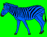 Disegno Zebra  pitturato su bisonte simo