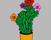 Disegno Fiori di cactus  pitturato su gerla