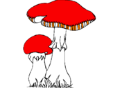 Disegno Funghi pitturato su funghi