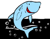 Disegno Squalo pitturato su  squalo   bianco