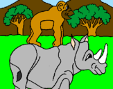 Disegno Rinoceronte e scimmietta  pitturato su elena