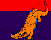 Disegno Alligatore che entra nell'acqua  pitturato su asxdetefdhv