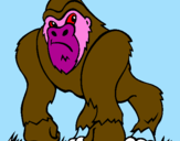 Disegno Gorilla pitturato su loris