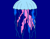 Disegno Medusa  pitturato su dfg