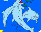 Disegno Delfini che giocano  pitturato su chiara