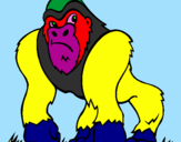 Disegno Gorilla pitturato su SOFIA