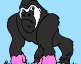 Disegno Gorilla pitturato su giovanni   casaburo