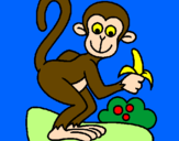 Disegno Scimmietta  pitturato su hassssan