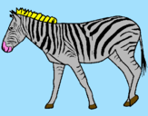 Disegno Zebra  pitturato su LUDOVICA