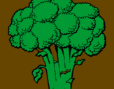 Disegno Broccoli  pitturato su giulio vannacci