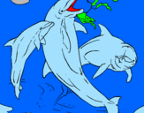 Disegno Delfini che giocano  pitturato su luca