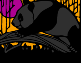 Disegno Oso panda che mangia  pitturato su giovanni denora