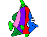 Disegno Pesce tropicale  pitturato su anónimo