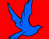 Disegno Colomba della pace in volo pitturato su stefi