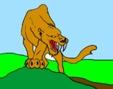 Disegno Tigre con affilati canini  pitturato su edoardo