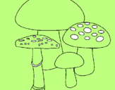 Disegno Funghi pitturato su ludo