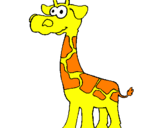Disegno Giraffa  pitturato su MELA
