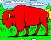 Disegno Bufalo  pitturato su bufalo