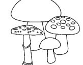 Disegno Funghi pitturato su sammy