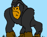 Disegno Gorilla pitturato su ALE