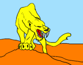 Disegno Tigre con affilati canini  pitturato su LORENZO