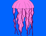 Disegno Medusa  pitturato su sarap