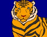 Disegno Tigre pitturato su mavi