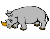 Disegno Rinoceronte  pitturato su daniel