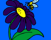 Disegno Margherita con ape  pitturato su gabriele