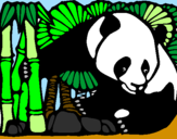 Disegno Orso panda con bambù  pitturato su daiana