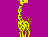 Disegno Giraffa  pitturato su andrea