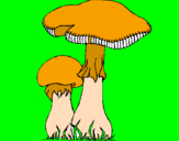 Disegno Funghi pitturato su aio
