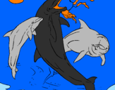 Disegno Delfini che giocano  pitturato su GIULIA