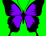 Disegno Farfalla con le ali nere pitturato su giulio