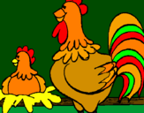 Disegno Gallo e gallina  pitturato su Angy