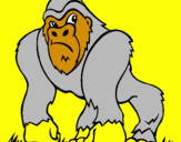 Disegno Gorilla pitturato su fili2004