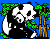 Disegno Mamma panda  pitturato su pinguo
