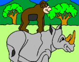 Disegno Rinoceronte e scimmietta  pitturato su CHIARA 6
