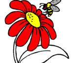 Disegno Margherita con ape  pitturato su hannia|