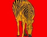 Disegno Zebra  pitturato su diego