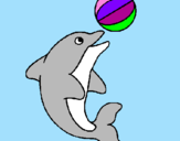 Disegno Delfino con una palla  pitturato su veronica