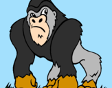 Disegno Gorilla pitturato su oip