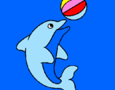 Disegno Delfino con una palla  pitturato su CAMILLA