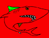 Disegno Squalo pitturato su  squalo  nero  e   rosso